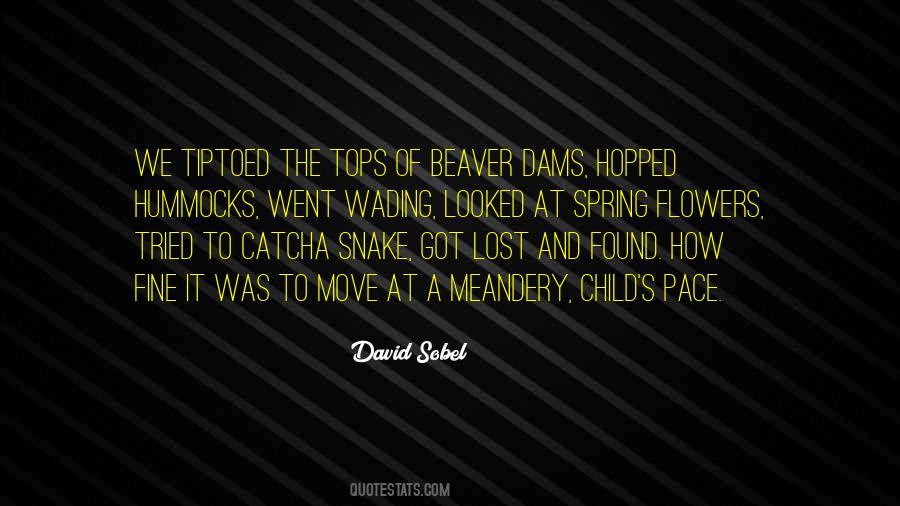 David Sobel Quotes #100730