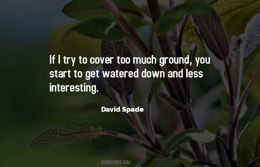 David Spade Quotes #1309563