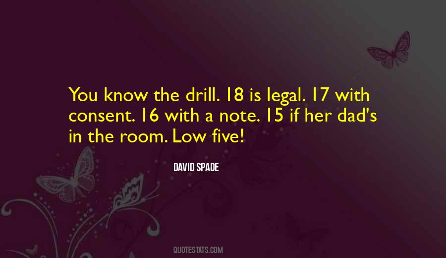 David Spade Quotes #134424