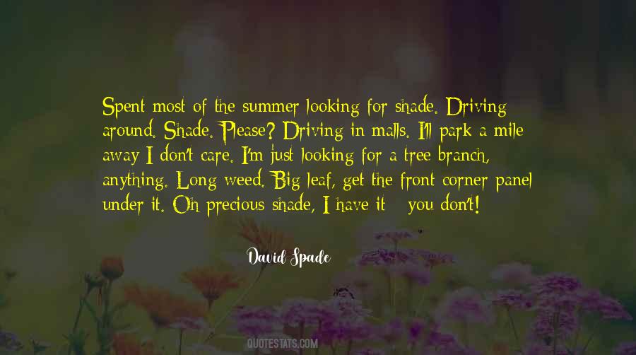 David Spade Quotes #1497564