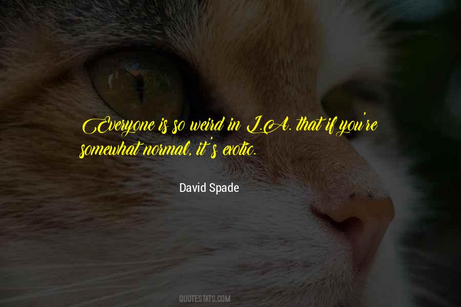 David Spade Quotes #1746240