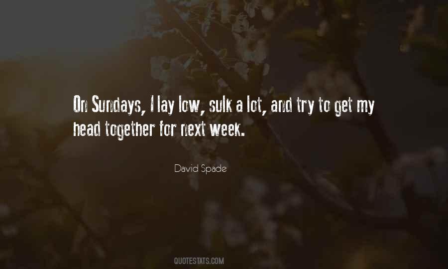 David Spade Quotes #1783367