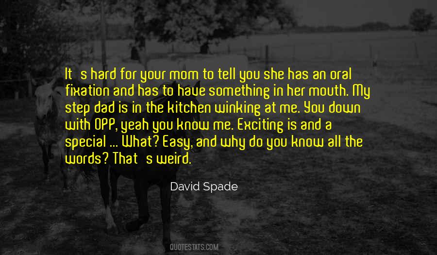 David Spade Quotes #330004