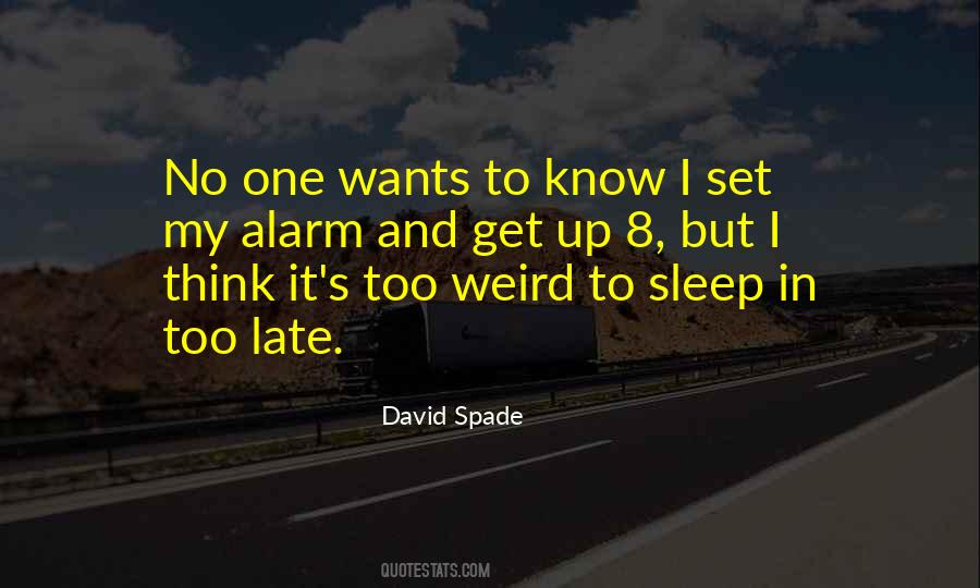 David Spade Quotes #610136