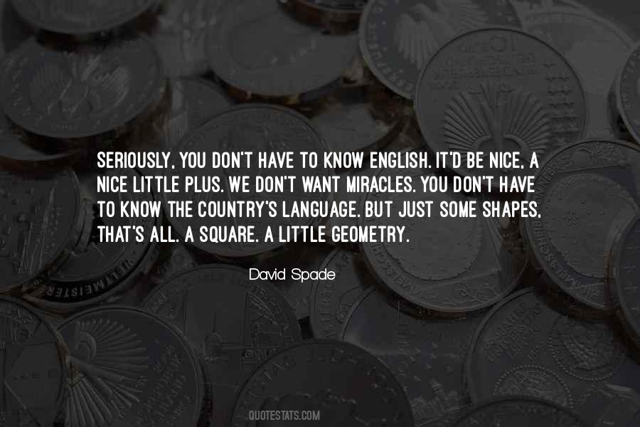 David Spade Quotes #68753