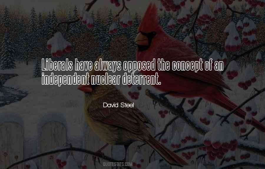 David Steel Quotes #1573279