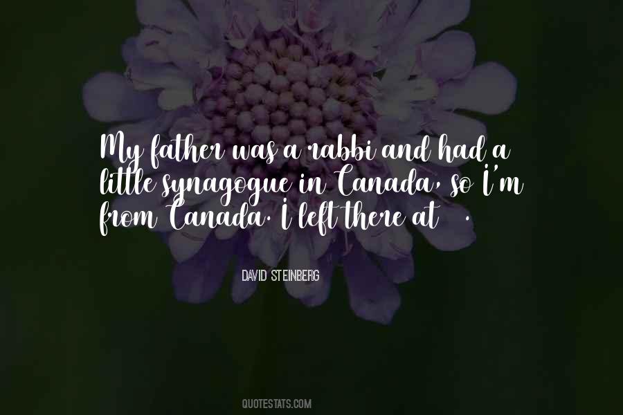 David Steinberg Quotes #1253288