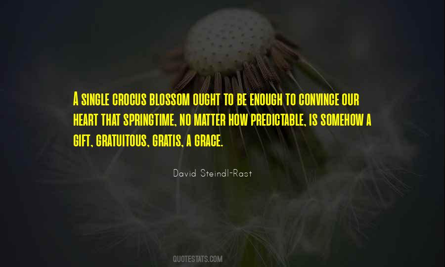 David Steindl-Rast Quotes #1234086