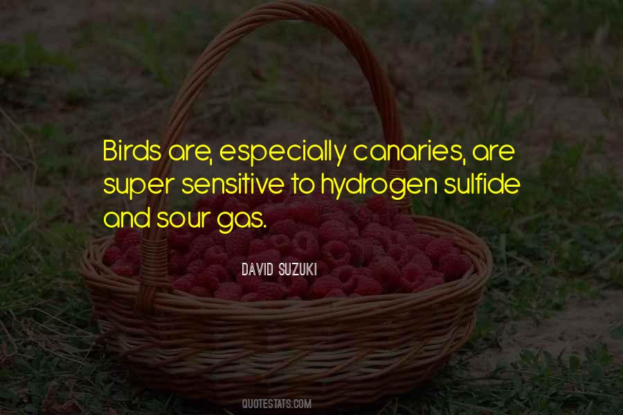 David Suzuki Quotes #1008249
