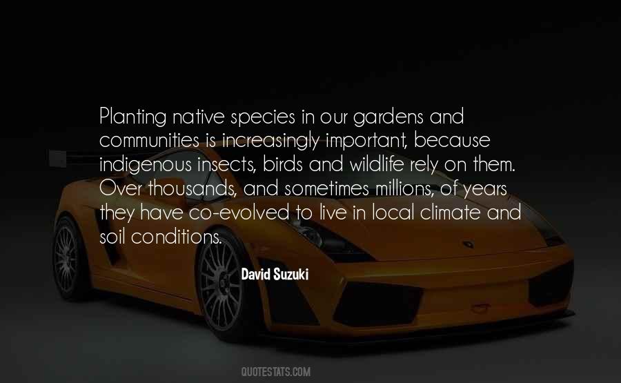 David Suzuki Quotes #294238