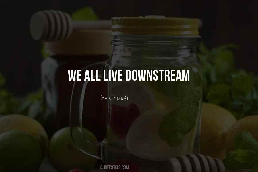 David Suzuki Quotes #403704