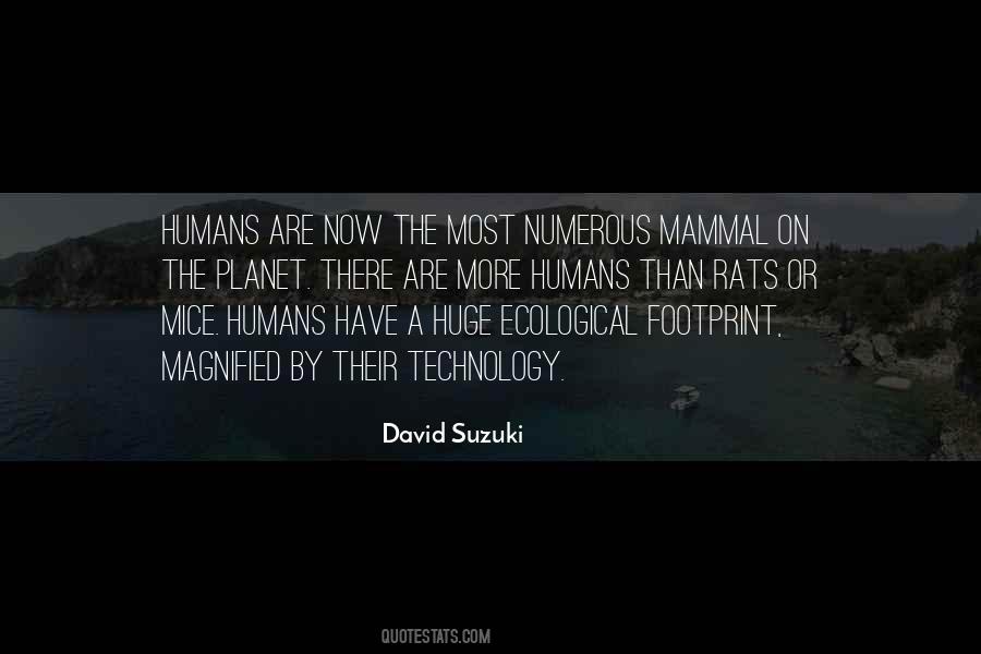 David Suzuki Quotes #631674