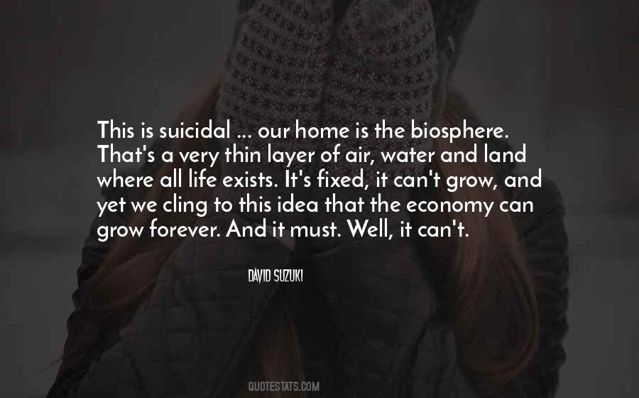 David Suzuki Quotes #960380