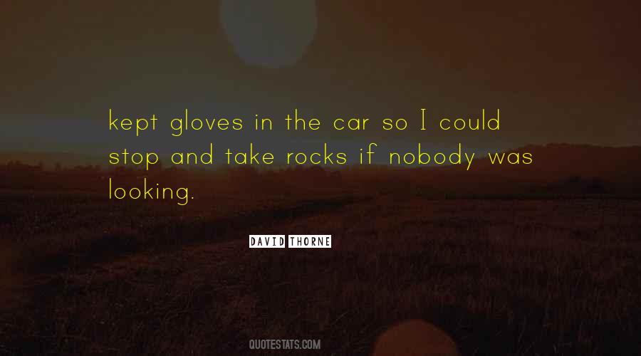 David Thorne Quotes #1274264