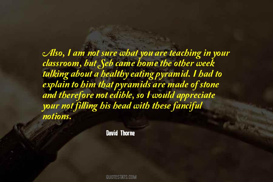 David Thorne Quotes #1415612