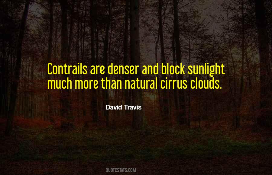 David Travis Quotes #1087347