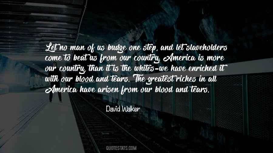 David Walker Quotes #1678557