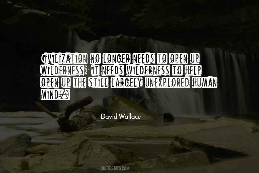 David Wallace Quotes #238402