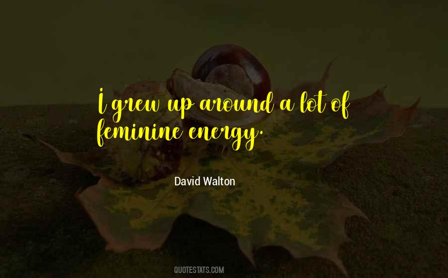 David Walton Quotes #921512