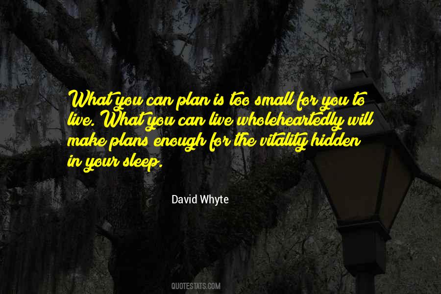 David Whyte Quotes #1202714