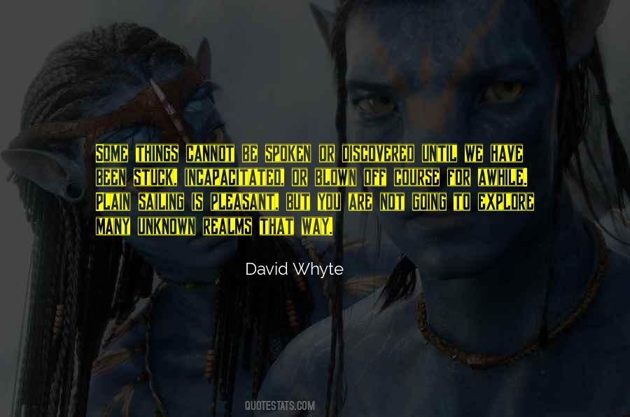 David Whyte Quotes #149910