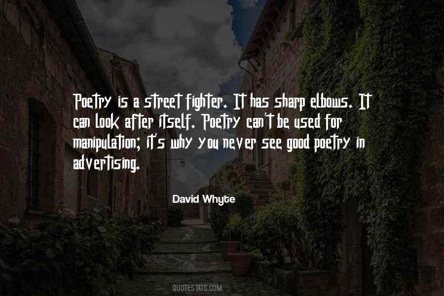 David Whyte Quotes #375627