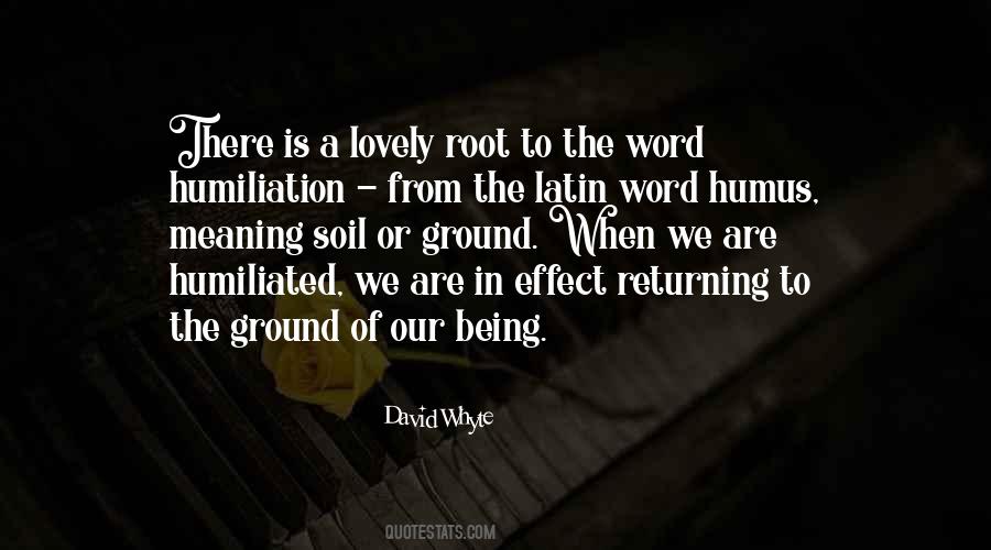 David Whyte Quotes #601653