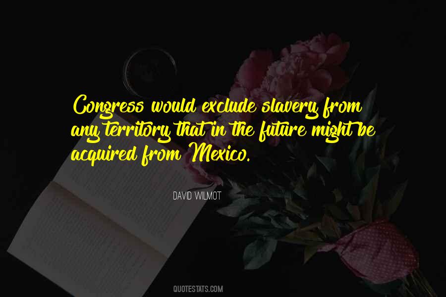 David Wilmot Quotes #926972