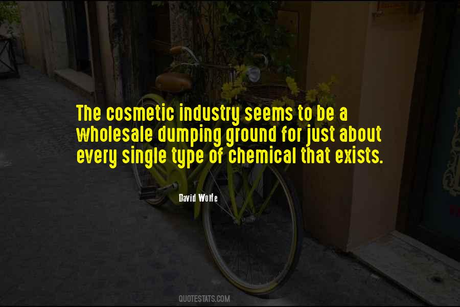 David Wolfe Quotes #1022889