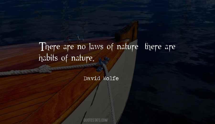 David Wolfe Quotes #1233034