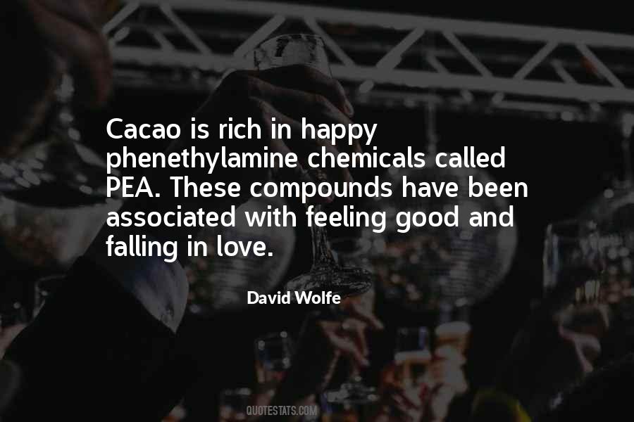 David Wolfe Quotes #1449866