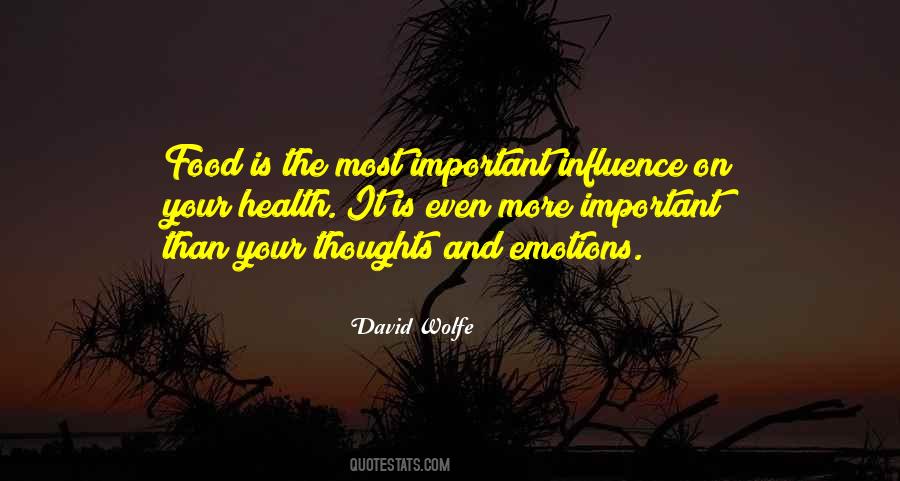David Wolfe Quotes #1538125