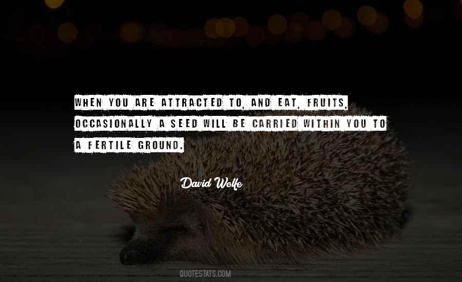 David Wolfe Quotes #1602586