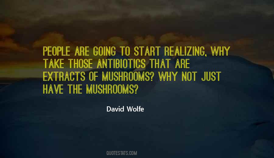 David Wolfe Quotes #1838031