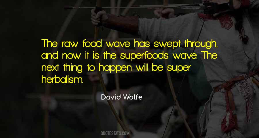 David Wolfe Quotes #418271