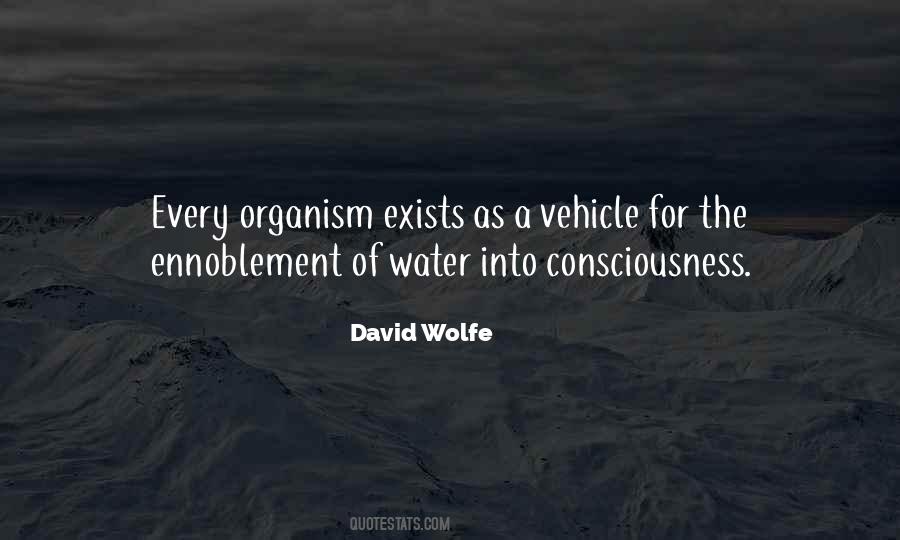 David Wolfe Quotes #791732