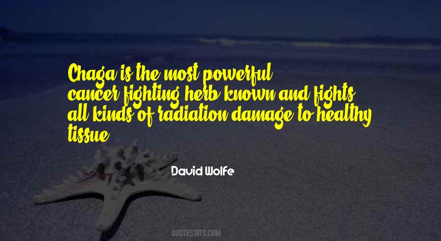 David Wolfe Quotes #853067