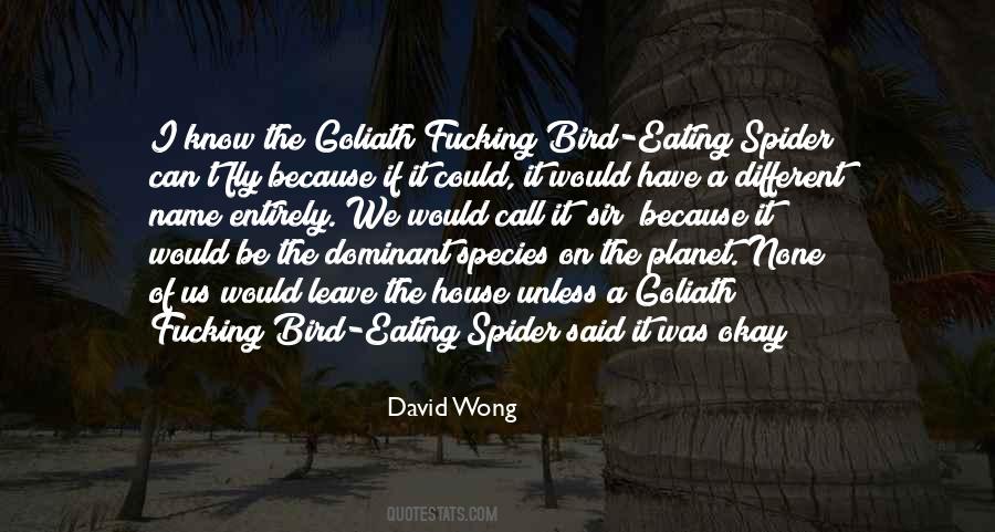 David Wong Quotes #1294681