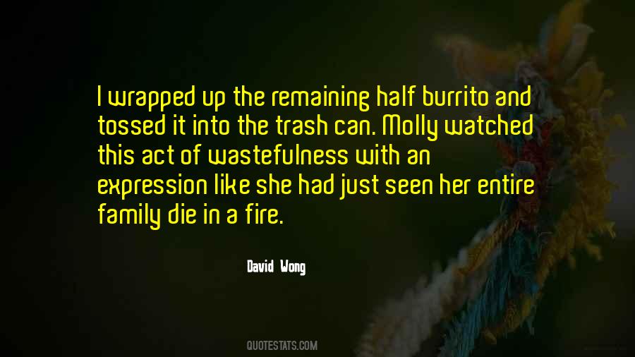 David Wong Quotes #1540392