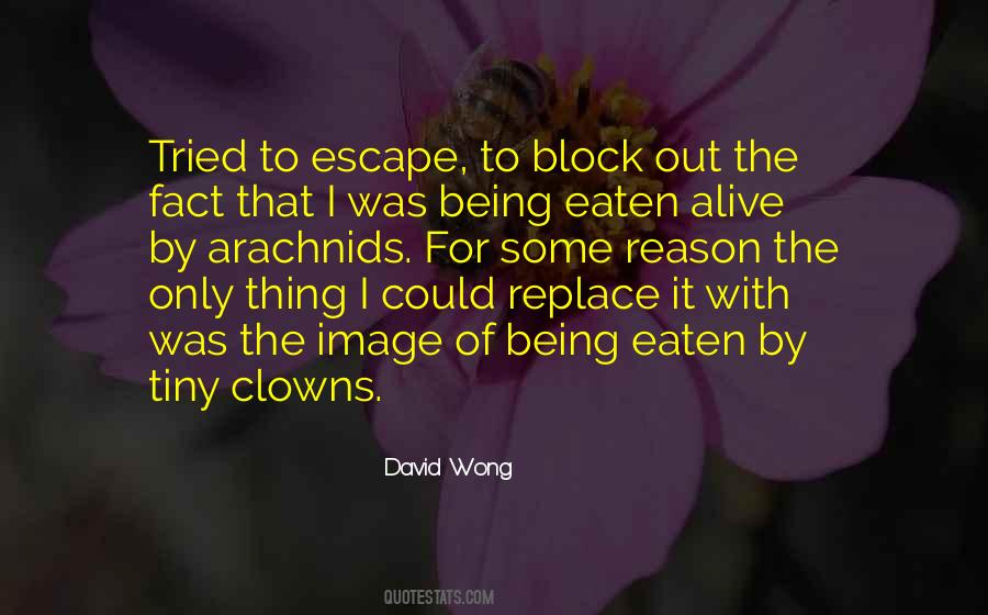 David Wong Quotes #1615312