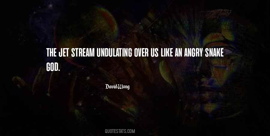 David Wong Quotes #489595