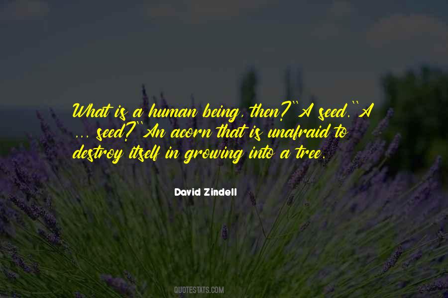 David Zindell Quotes #297924