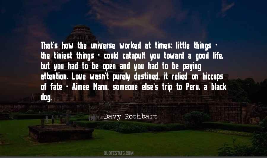 Davy Rothbart Quotes #1480764