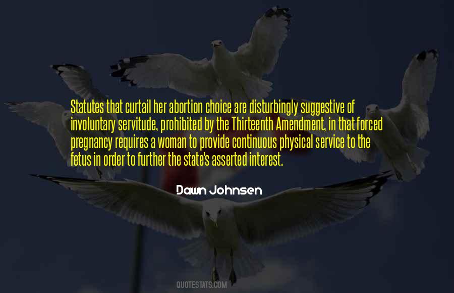 Dawn Johnsen Quotes #826507