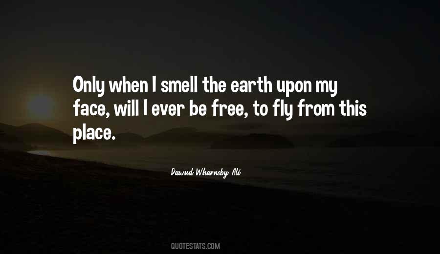 Dawud Wharnsby Ali Quotes #1497363