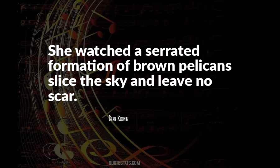 Dean Koontz Quotes #1795383