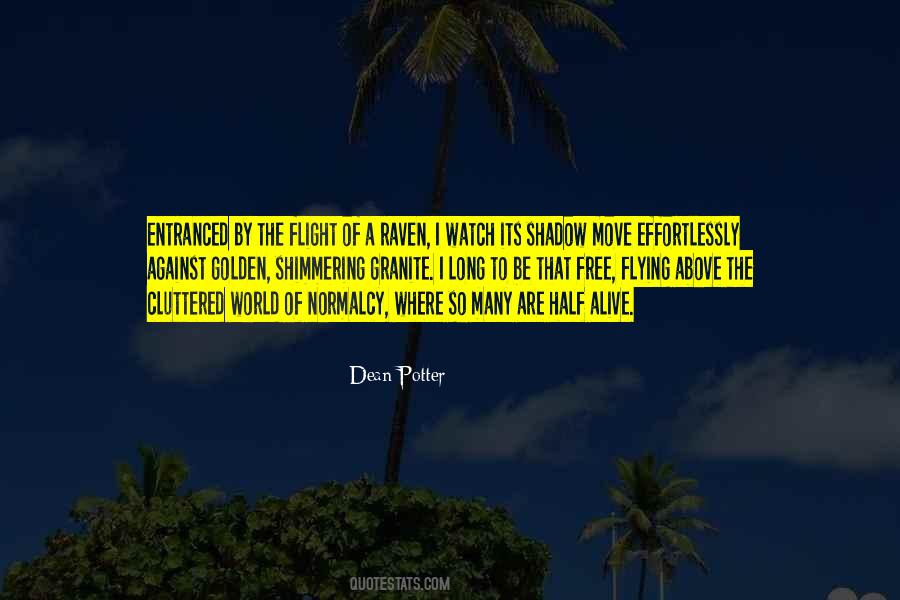 Dean Potter Quotes #558664