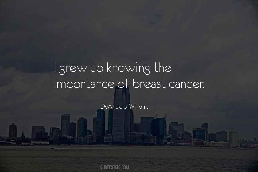 DeAngelo Williams Quotes #23736 DeAngelo Williams Quotes #23736