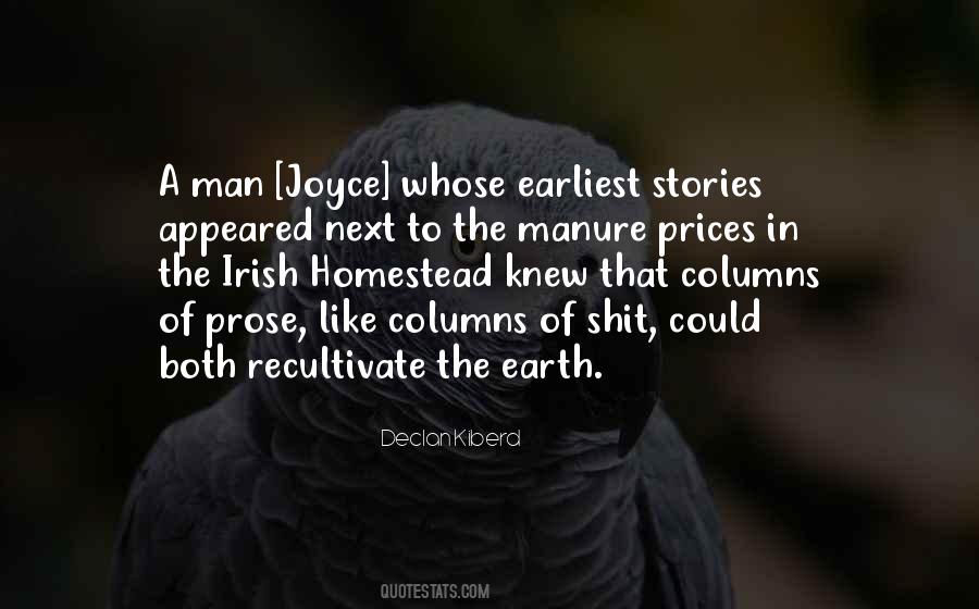 Declan Kiberd Quotes #270056 Declan Kiberd Quotes #270056