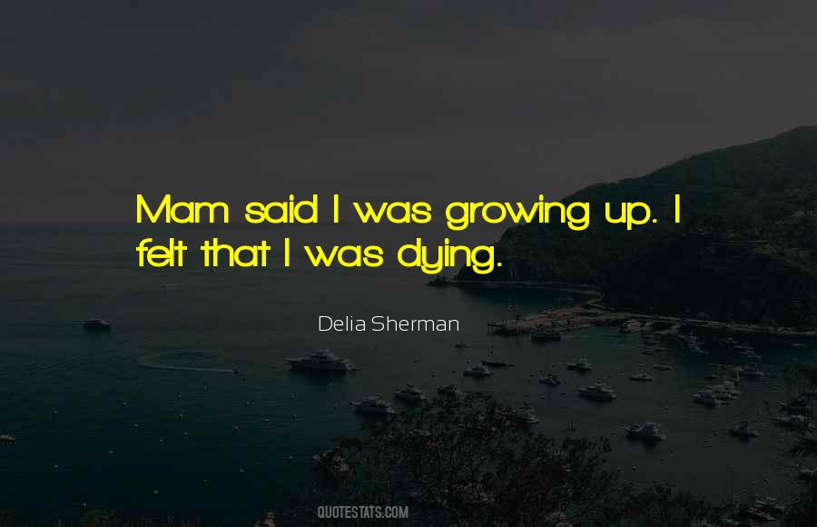 Delia Sherman Quotes #692296